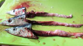 去除秋刀魚內臟