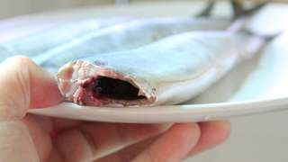 清洗秋刀魚